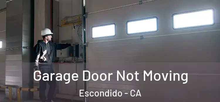  Garage Door Not Moving Escondido - CA