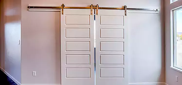 Glass Barn Door with Installation Hardware Kit Escondido